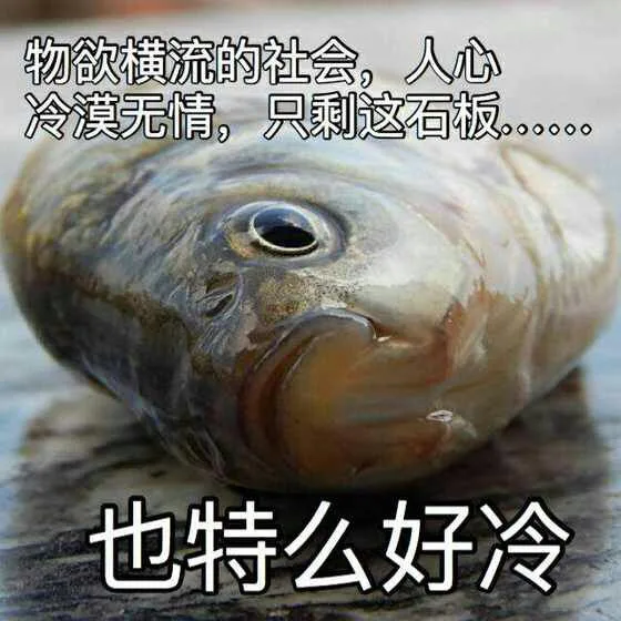 物欲横流的社会，人心冷漠无情，只剩这石板....