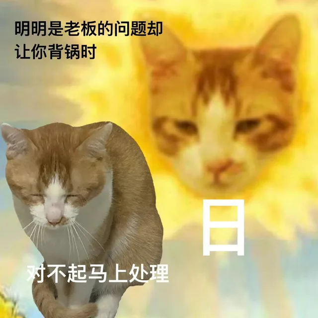 明明是老板的问题却让你背锅时对不起马上处理（明明是老板的问题却让你背锅时对不起马上处理）