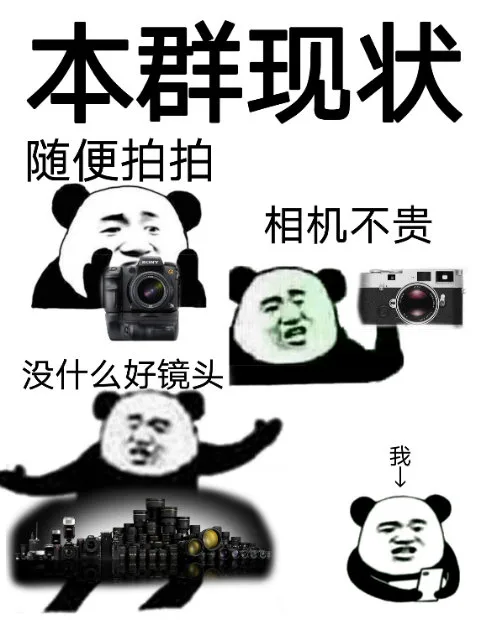 本群现状随便拍拍相机不贵没什么好镜头我(群聊表情包)（本群现状随便拍拍相机不贵没什么好镜头我(群聊表情包)）