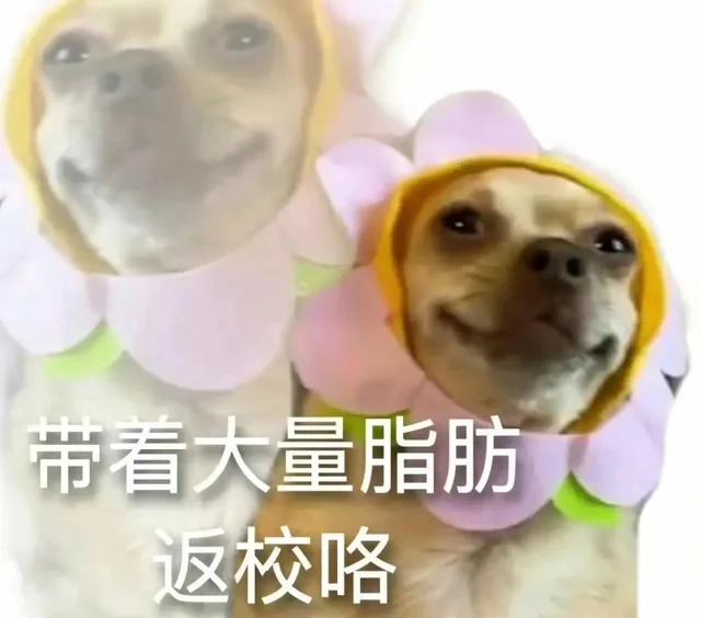 带着大量脂肪返校咯（带着大量脂肪返校咯）