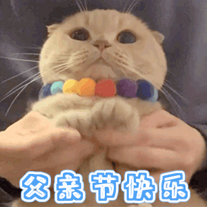 亲节快乐（亲节快乐）