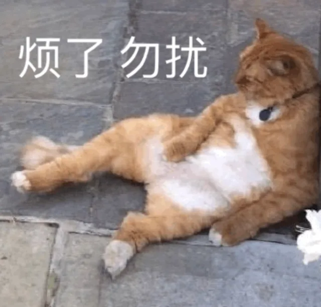 全是猫咪表情包_猫咪表情包