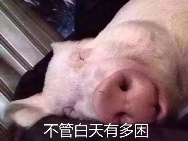 不管白天有多困，一到晚上总会迷之精神