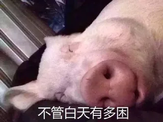 不管白天有多困，一到晚上总会迷之精神