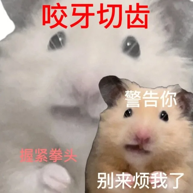 咬牙切齿警告你握紧拳头别来烦我了（咬牙切齿警告你握紧拳头别来烦我了）