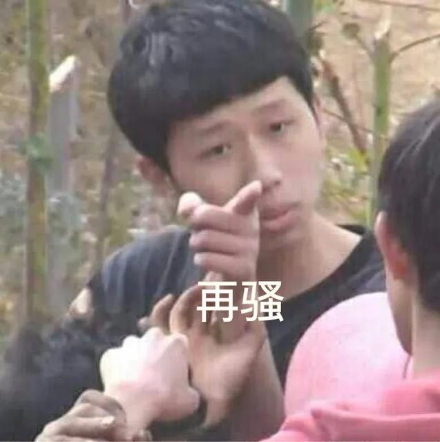 再骚（再骚）