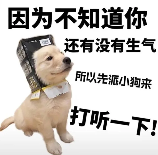 因为不知道你011还有没有生气所以先派小狗来打听一下！（因为不知道你011还有没有生气所以先派小狗来打听一下！）