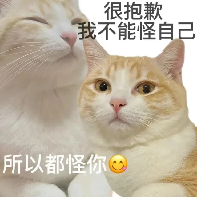 很抱歉我不能怪自己所以都怪你（很抱歉我不能怪自己所以都怪你）