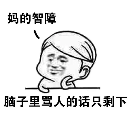 妈的智障，脑子里骂人的话只剩下这个了