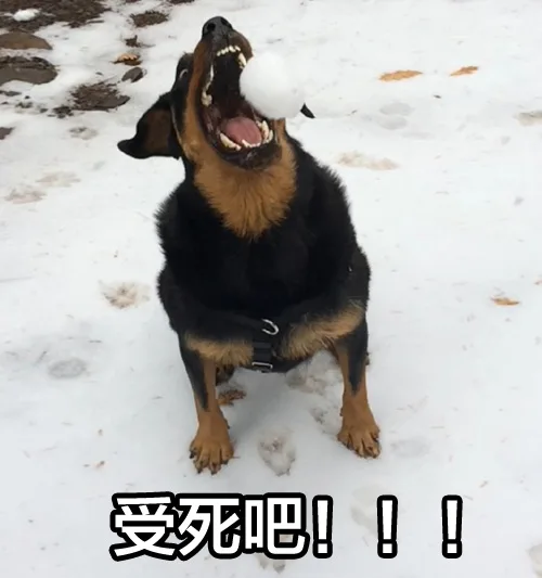 受死吧！！！（受死吧！！！）