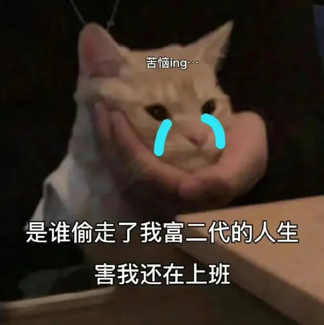 苦恼ing…是谁偷走了我富二代的人生害我还在上班（苦恼ing…是谁偷走了我富二代的人生害我还在上班）