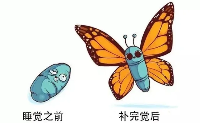 睡觉之前补完觉后