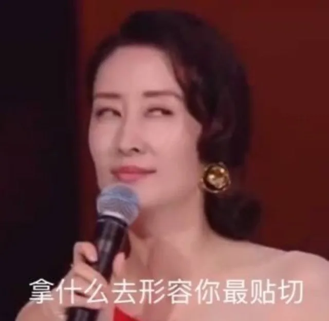 拿什么去形容你最贴切(刘敏涛表情包)