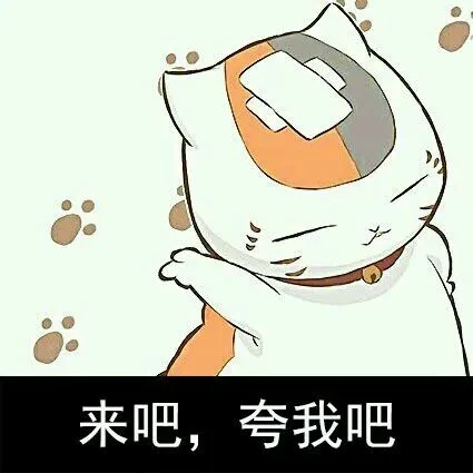 来吧，夸我吧（来吧，夸我吧）