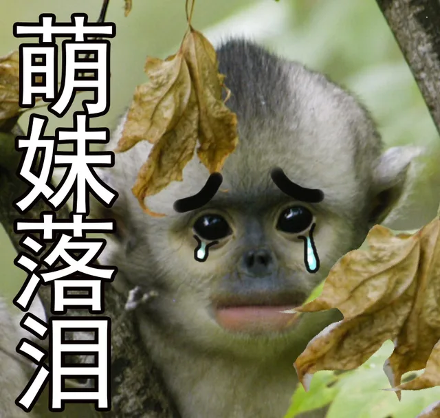 萌妹落泪