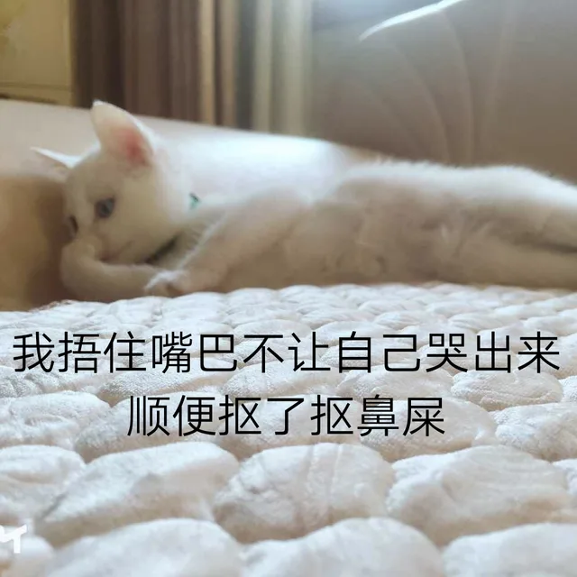 我捂住嘴巴不让自己哭出来，顺便抠了抠鼻屎