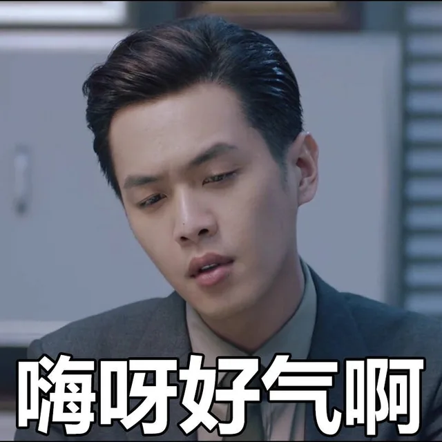 嗨呀好气啊