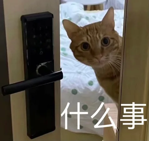 什么事（什么事）