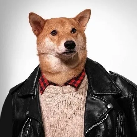 狗子Chic（狗子Chic）