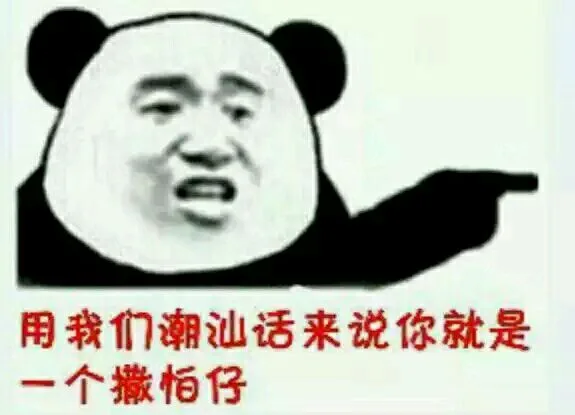 用我们潮汕话来说你就是个撒怕仔