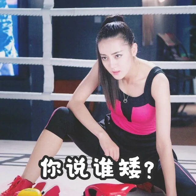 你说谁矮？（你说谁矮？）