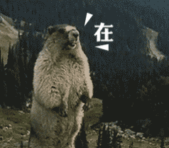 在（在）