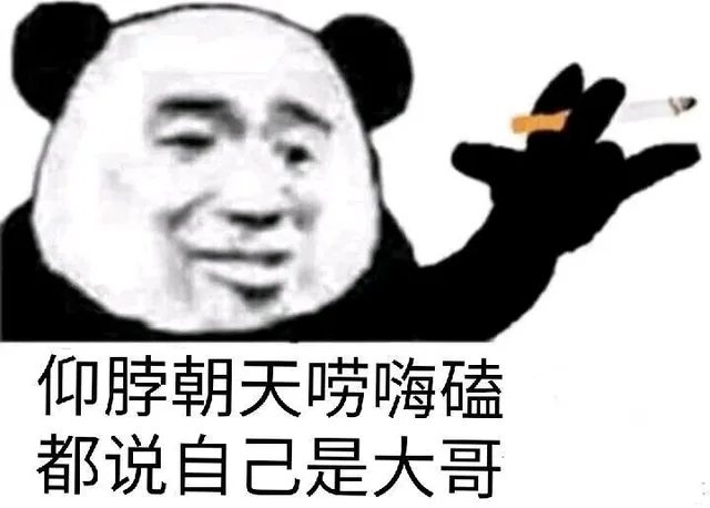 仰脖朝天唠嗨磕都说自己是大哥