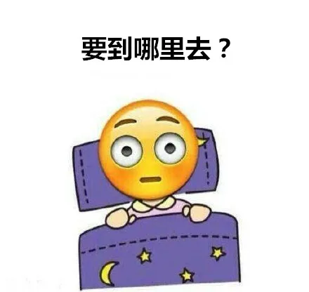 要到哪里去？（要到哪里去？）