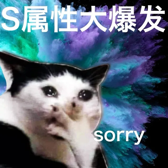 S属性大爆发sorry