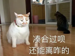 凑合过呗还能离咋的