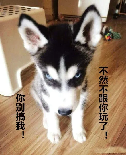 你别搞我！不然不跟你玩了（你别搞我！不然不跟你玩了）