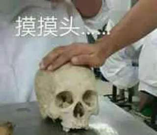 骷髅头表情_医学_骷髅表情包