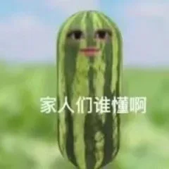 家人们谁懂啊（家人们谁懂啊）