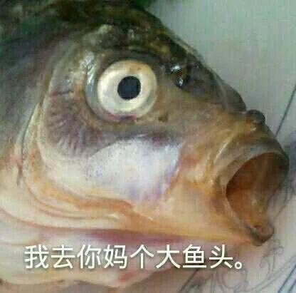 我去你妈个大鱼头