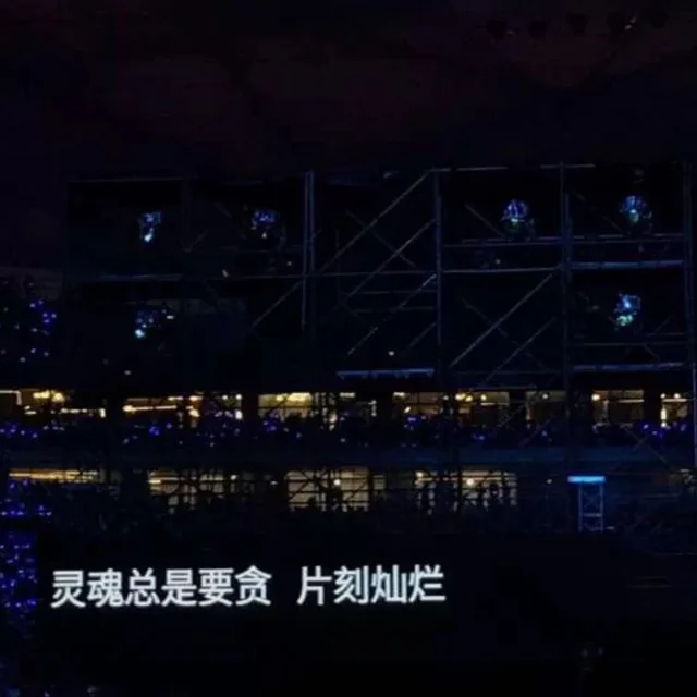灵魂总是要贪片刻灿烂