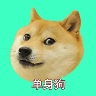 单身狗