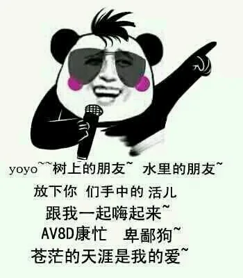 yoyo，树上的朋友，水里的朋友，放下你们手中的活儿，跟我一起嗨起来，AV8D康忙，卑鄙狗，苍茫的天涯是我的爱（yoyo，树上的朋友，水里的朋友，放下你们手中的活儿，跟我一起嗨起来，AV8D康忙，卑鄙狗，苍茫的天涯是我的爱）