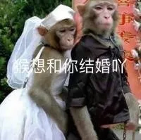 猴想和你结婚吖（猴想和你结婚吖）