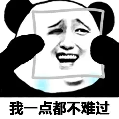 扮演一个情绪切换自如的成年人_熊猫头
