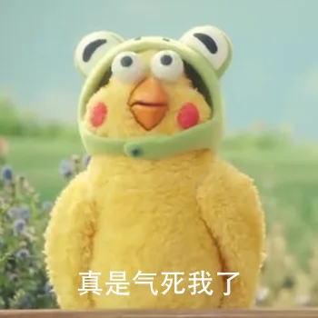 真是气死我了