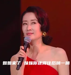 姐姐来了妹妹你还得往后捎一捎（刘敏涛表情包）