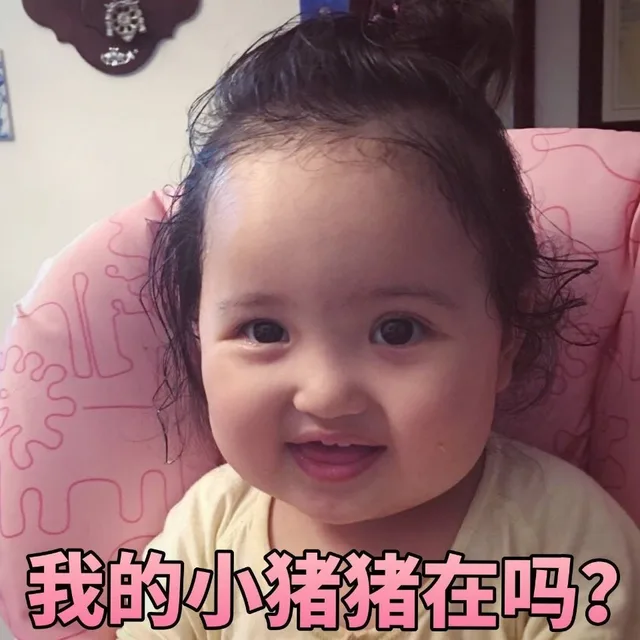 我的小猪猪在吗