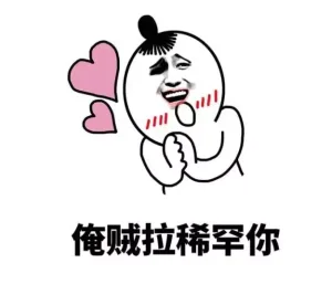 各种方言告白_我爱你_告白_方言
