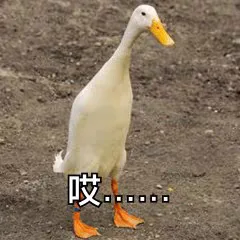 哎口