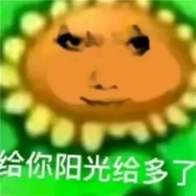 给你阳光给多了（给你阳光给多了）