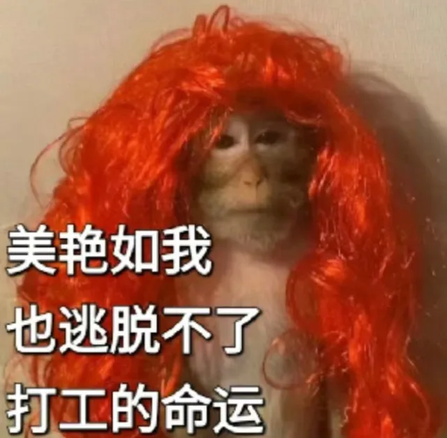 美艳如我也逃脱不了打工的命运(吗喽表情包)（美艳如我也逃脱不了打工的命运(吗喽表情包)）
