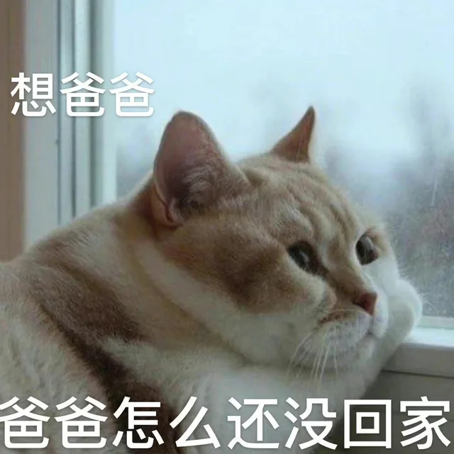 想爸爸爸爸怎么还没回家（想爸爸爸爸怎么还没回家）