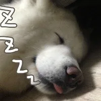 ZZZZZZZZZZZZ好困