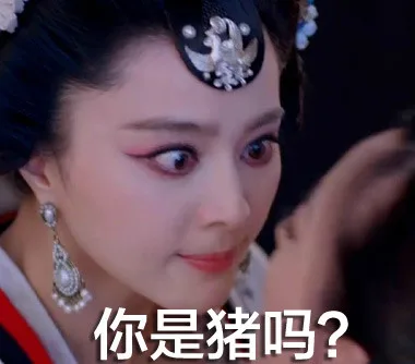 你是猪吗？（你是猪吗？）