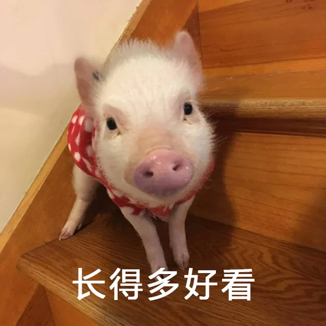 长得多好看（长得多好看）